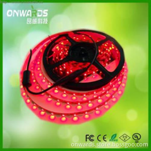 3528 30 leds strip 12 Volt Lights